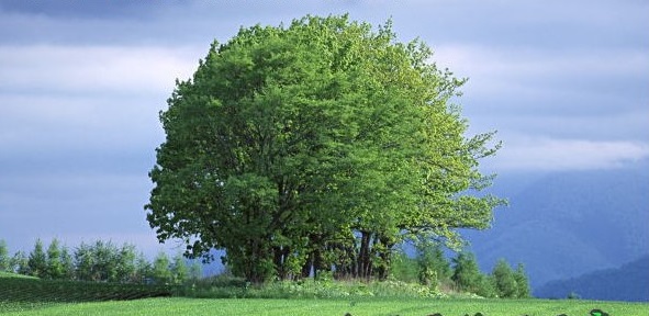 エクステリア工房